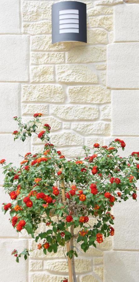 مبيت وإفطار Saint-Maximin  L'Atelier المظهر الخارجي الصورة