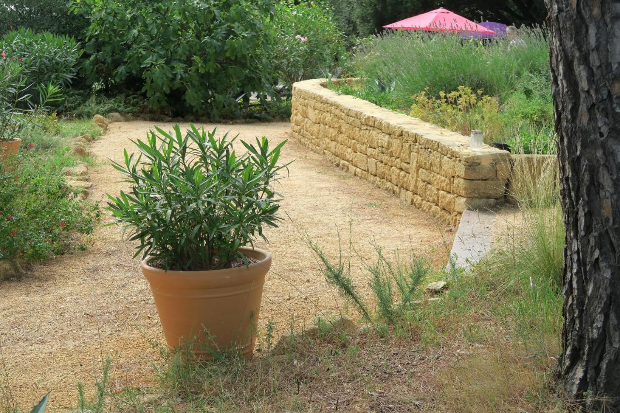مبيت وإفطار Saint-Maximin  L'Atelier المظهر الخارجي الصورة