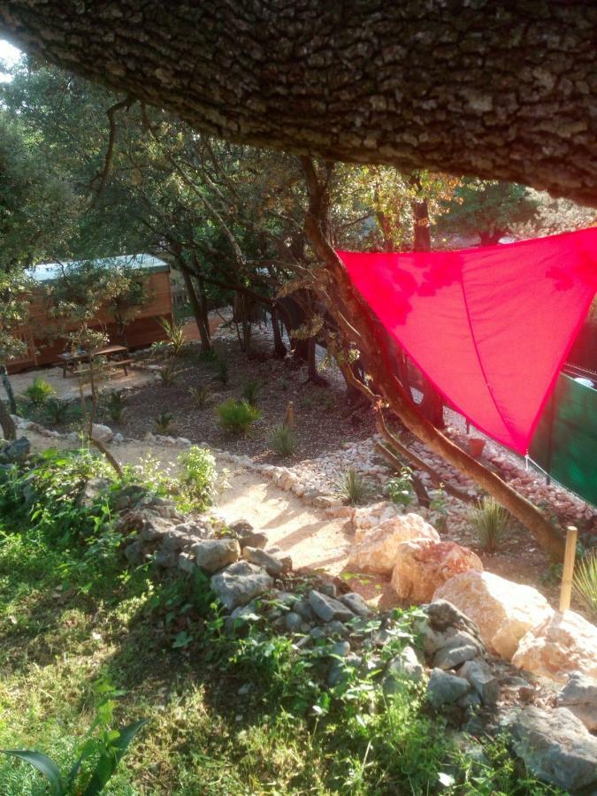 مبيت وإفطار Saint-Maximin  L'Atelier المظهر الخارجي الصورة